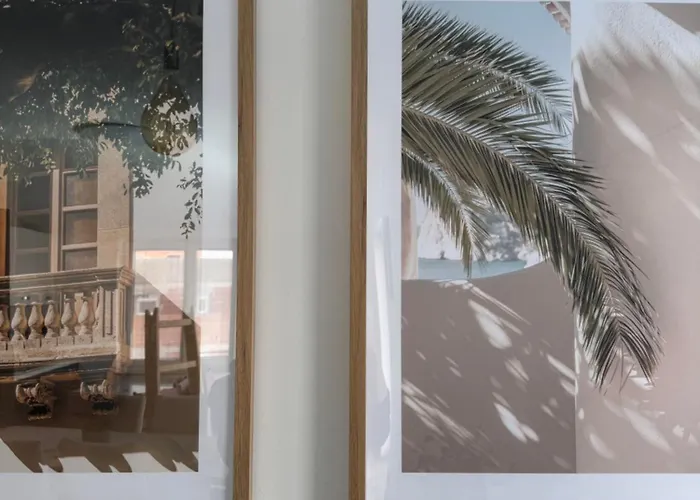 Masline * זאדאר