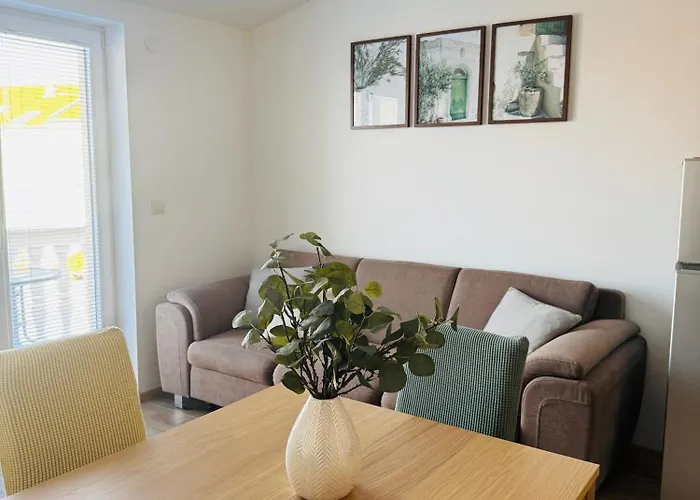 Masline 公寓 扎达尔